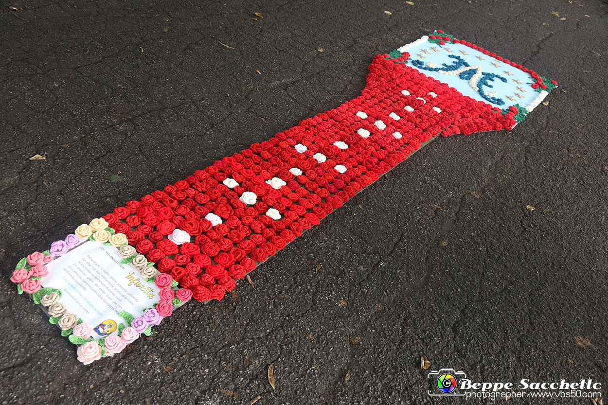 VBS_9675 - Infiorata di Villanova d'Asti 2023.jpg
